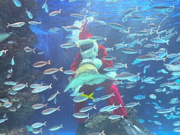 サンシャイン水族館に投稿された画像（2025/12/15）