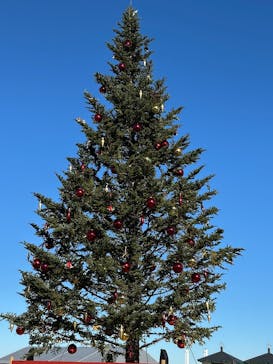 Christmas Market in 横浜赤レンガ倉庫 2025に投稿された画像（2025/12/15）