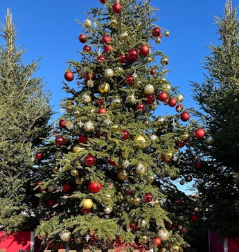 Christmas Market in 横浜赤レンガ倉庫 2025に投稿された画像（2025/12/15）