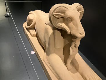 MYSTERY OF TUTANKHAMEN 体感型古代エジプト展に投稿された画像（2025/12/16）