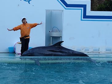 しながわ水族館に投稿された画像（2025/12/16）