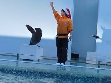 しながわ水族館に投稿された画像（2025/12/16）