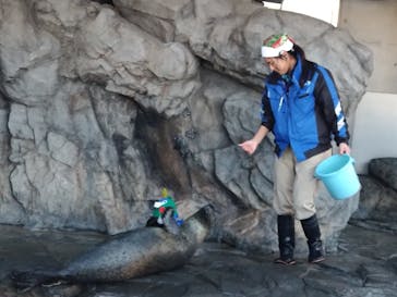 しながわ水族館に投稿された画像（2025/12/16）
