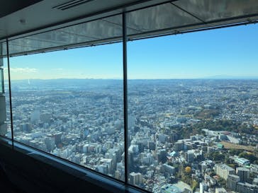 横浜ランドマークタワー 69階展望フロア スカイガーデンに投稿された画像（2025/12/16）