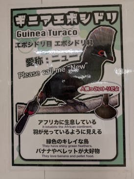 アニタッチ 東京ドームシティに投稿された画像（2025/12/16）