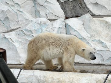 恩賜上野動物園に投稿された画像（2025/12/16）