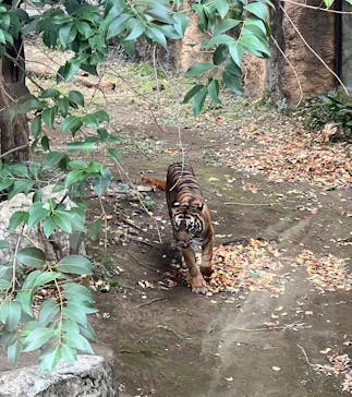 恩賜上野動物園に投稿された画像（2025/12/16）