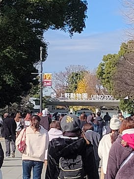 恩賜上野動物園に投稿された画像（2025/12/16）