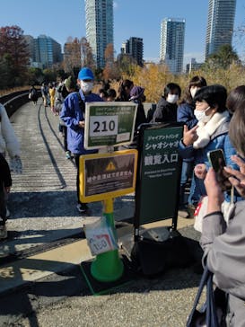 恩賜上野動物園に投稿された画像（2025/12/16）
