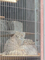 名古屋市東山動植物園に投稿された画像（2025/12/16）