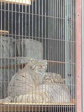 名古屋市東山動植物園に投稿された画像（2025/12/16）