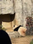 恩賜上野動物園に投稿された画像（2025/12/16）