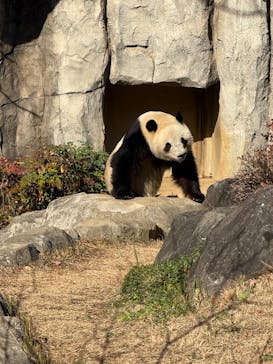 恩賜上野動物園に投稿された画像（2025/12/16）