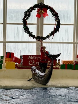 アクアワールド茨城県大洗水族館に投稿された画像（2025/12/16）