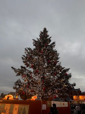 Christmas Market in 横浜赤レンガ倉庫 2025に投稿された画像（2025/12/16）