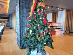 東京豊洲 万葉倶楽部に投稿された画像（2025/12/16）