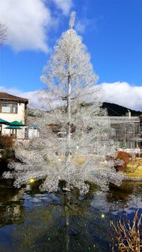 箱根ガラスの森美術館に投稿された画像（2025/12/16）