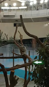 多摩動物公園に投稿された画像（2025/12/16）