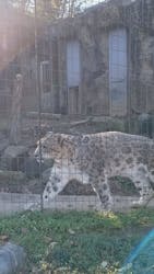 多摩動物公園に投稿された画像（2025/12/16）