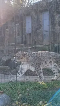 多摩動物公園に投稿された画像（2025/12/16）