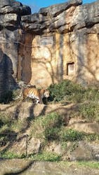 多摩動物公園に投稿された画像（2025/12/16）