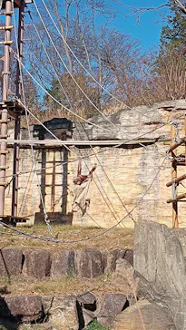 多摩動物公園に投稿された画像（2025/12/16）