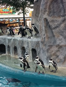 恩賜上野動物園に投稿された画像（2025/12/16）