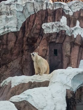 恩賜上野動物園に投稿された画像（2025/12/16）