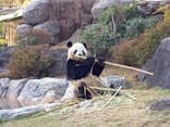 恩賜上野動物園に投稿された画像（2025/12/16）