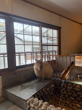 おさるの湯もみ処　おさ湯に投稿された画像（2025/12/16）