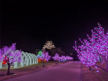 大阪城イルミナージュに投稿された画像（2025/12/16）