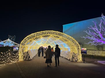 東京メガイルミに投稿された画像（2025/12/16）