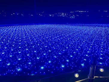 東京メガイルミに投稿された画像（2025/12/16）