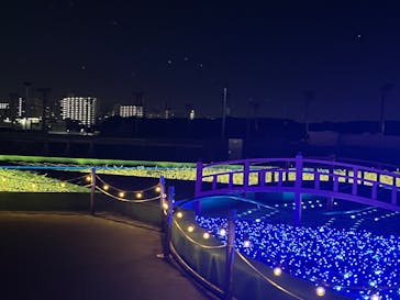 東京メガイルミに投稿された画像（2025/12/16）