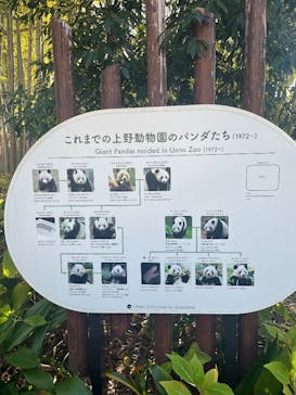 恩賜上野動物園に投稿された画像（2025/12/16）