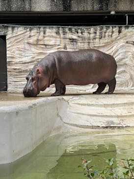 恩賜上野動物園に投稿された画像（2025/12/16）