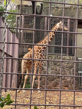 恩賜上野動物園に投稿された画像（2025/12/16）