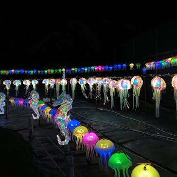 伊豆高原グランイルミに投稿された画像（2025/12/16）