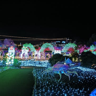 伊豆高原グランイルミに投稿された画像（2025/12/16）