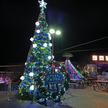 伊豆高原グランイルミに投稿された画像（2025/12/16）