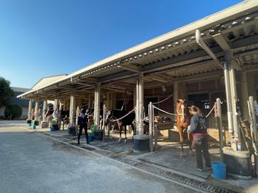 MIKIホーストレックに投稿された画像（2025/12/16）