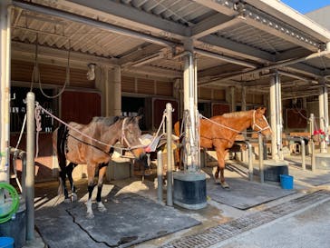 MIKIホーストレックに投稿された画像（2025/12/16）