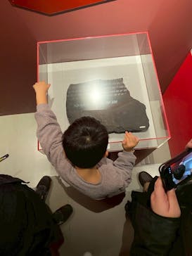 特別展「大絶滅展―生命史のビッグファイブ」に投稿された画像（2025/12/16）