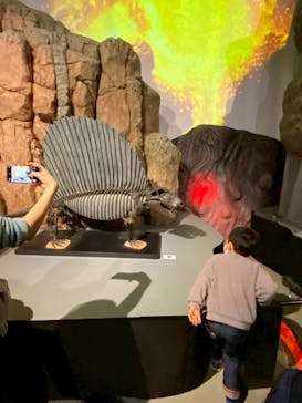 特別展「大絶滅展―生命史のビッグファイブ」に投稿された画像（2025/12/16）