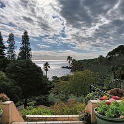 ニューヨークランプミュージアム＆フラワーガーデンに投稿された画像（2025/12/16）