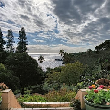 ニューヨークランプミュージアム＆フラワーガーデンに投稿された画像（2025/12/16）