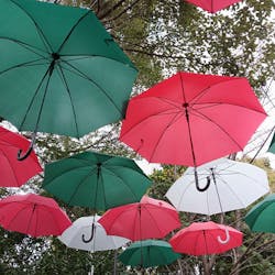 ニューヨークランプミュージアム＆フラワーガーデンに投稿された画像（2025/12/16）