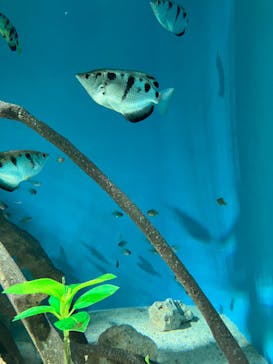 サンシャイン水族館に投稿された画像（2025/12/16）