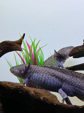 サンシャイン水族館に投稿された画像（2025/12/16）