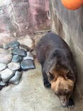 恩賜上野動物園に投稿された画像（2025/12/16）